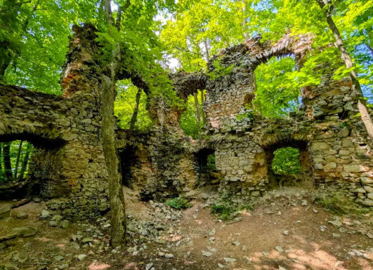 Castle Ruins Blansek, Czech Republic (Czechia)
